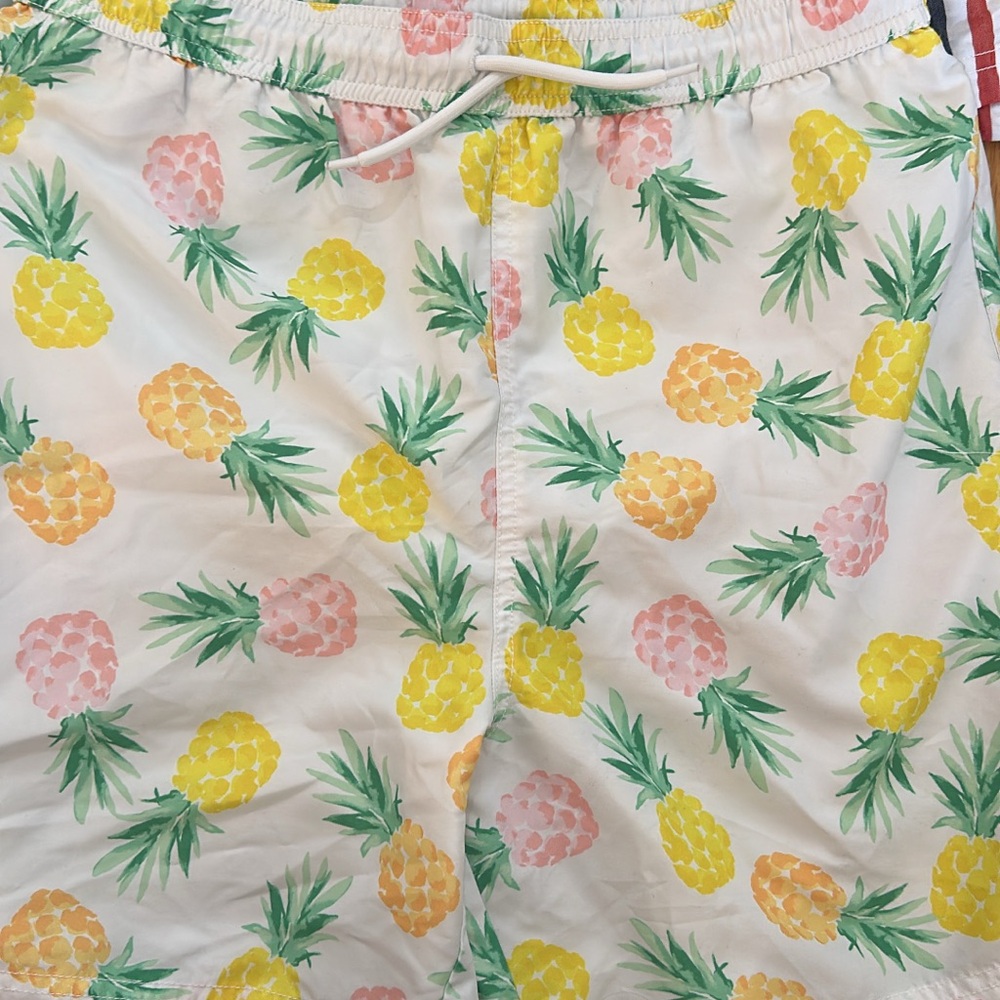 Janie and Jack Pineapple Print Swim Trunks - Yellow, Pink, Green size 18